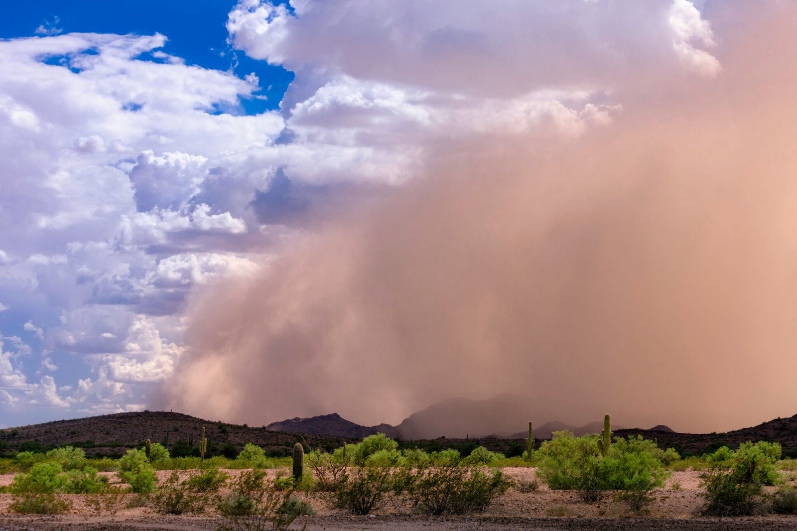 Burza piaskowa habub w Arizonie &#8211; chmury pyłowe wyglądają podobnie, ale unoszą się na dużych wysokościach
