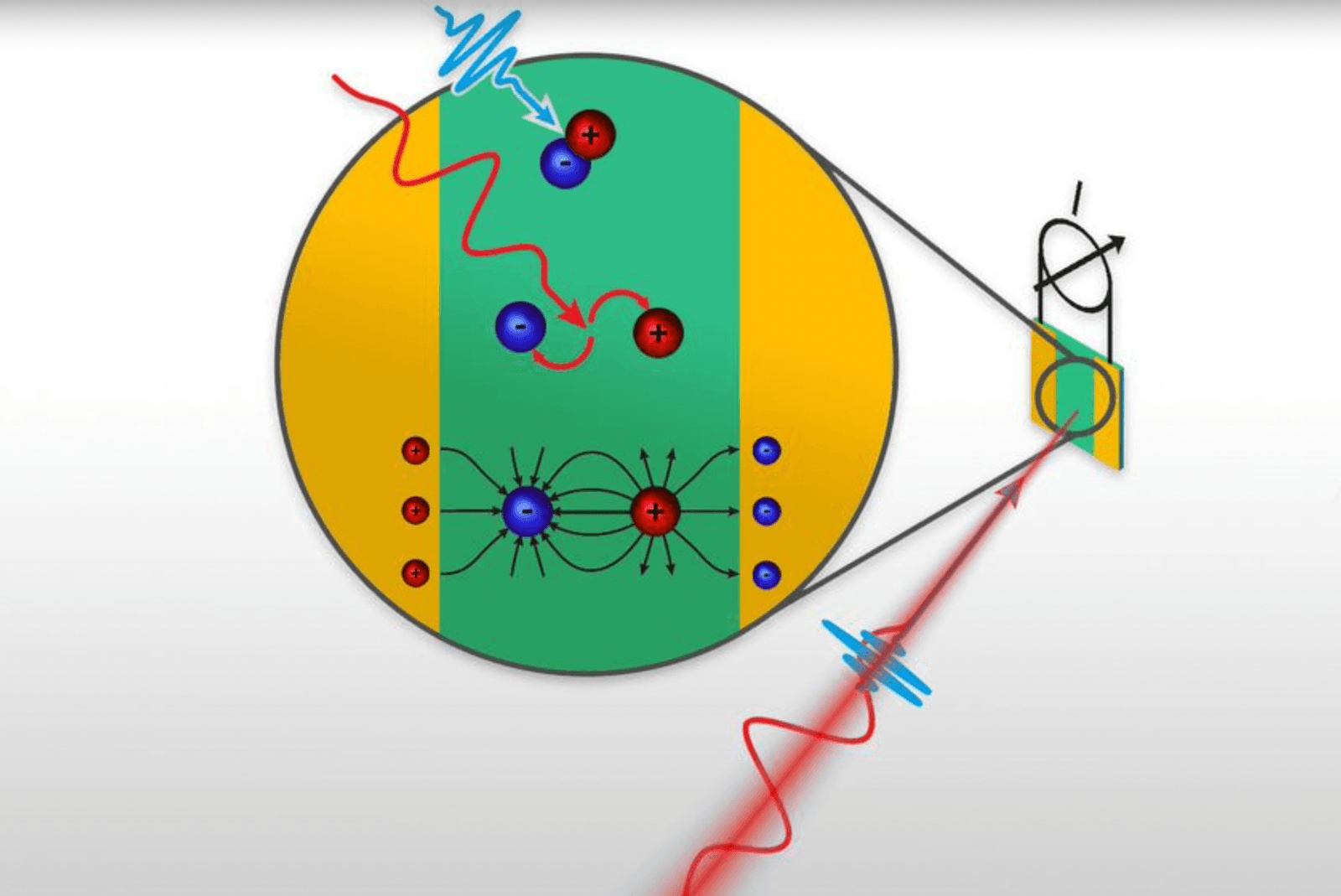 Ultrakrótki impuls lasera (niebieski) tworzy nośniki ładunku, a kolejny impuls (czerwony) przyspiesza je w przeciwnych kierunkach
