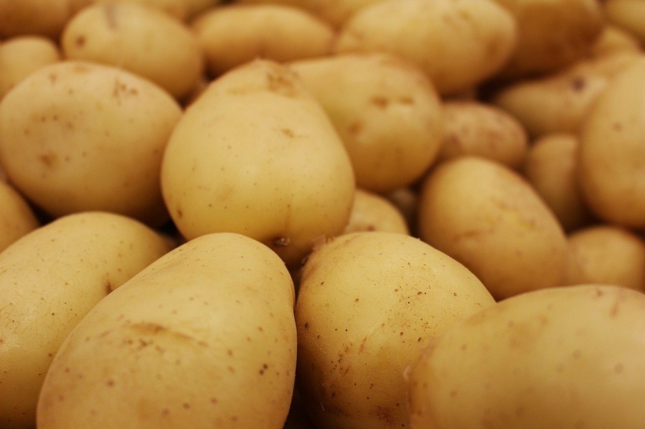 Ziemniaki odsłoniły swój genom. To naprawdę ważna wiadomość