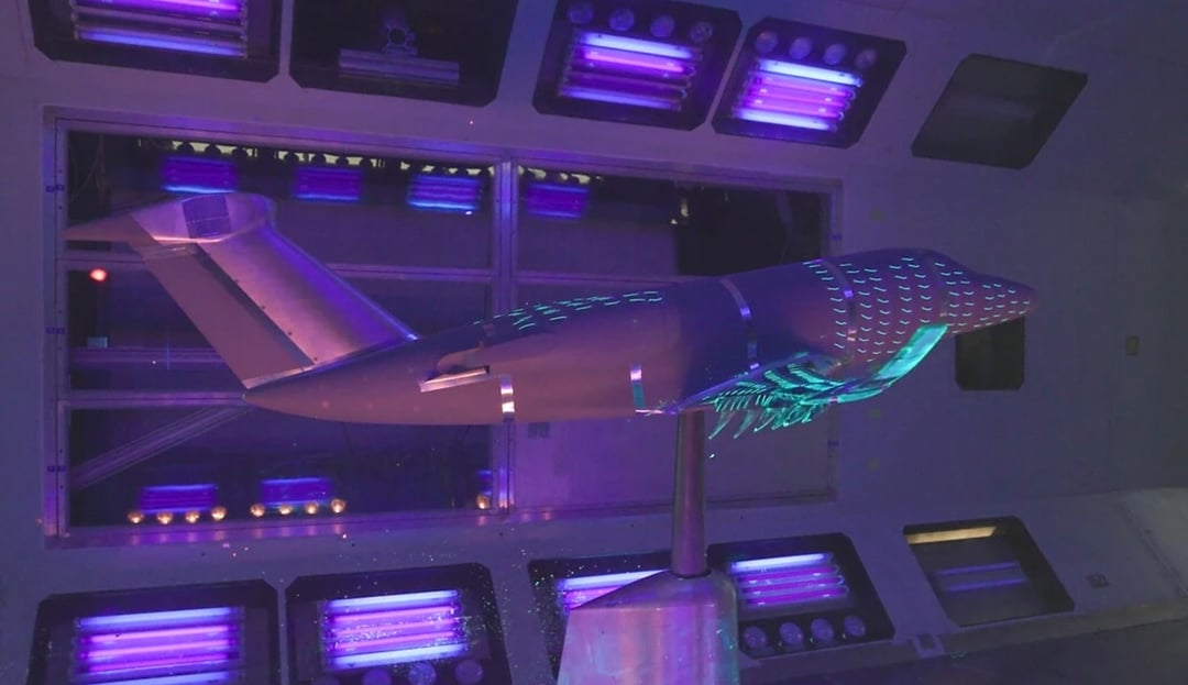 Airbus chce zapewnić samolotom ptasie skrzydła. Najnowsze badania w tunelu aerodynamicznym mają to umożliwić