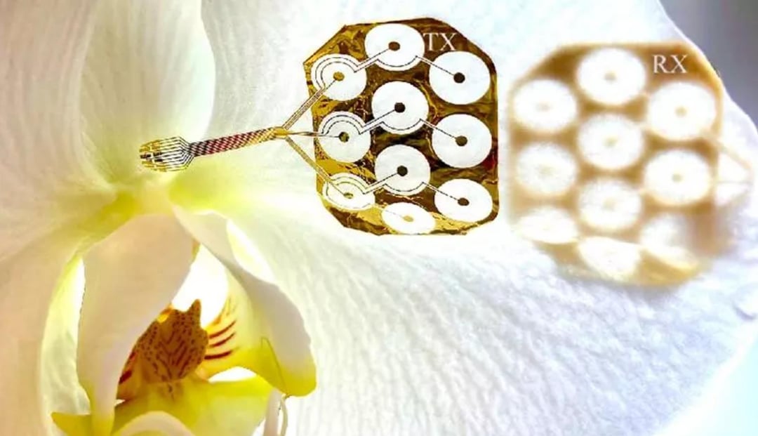 Jak czerpać dane prosto z ludzkiego ciała? Ta bezprzewodowa technologia na bazie jonów ma to ułatwić