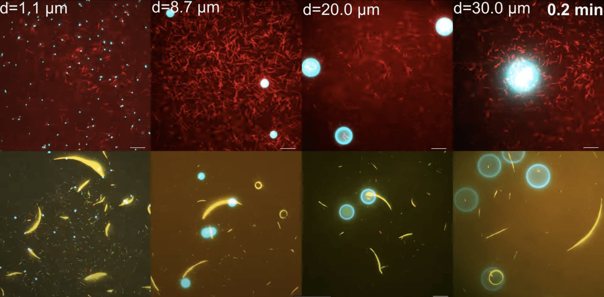 Maszyny molekularne w akcji