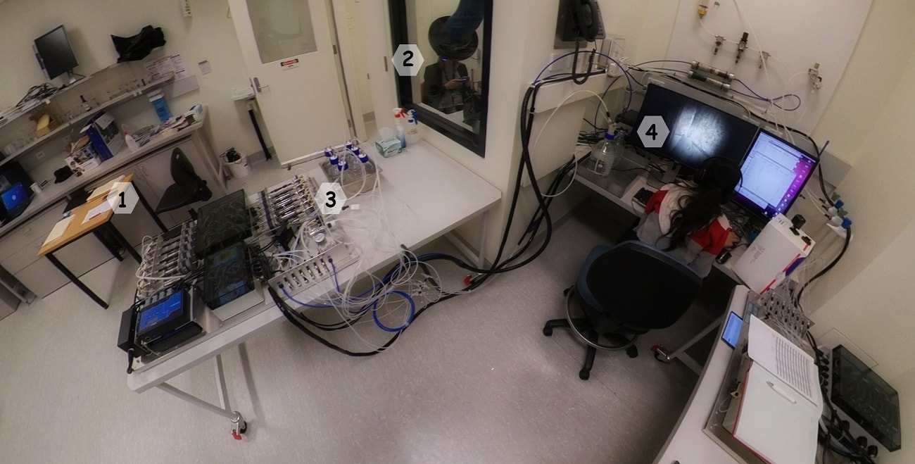 Zapachy są ważne nawet w wirtualnej rzeczywistości. Jaka jest ich rola?