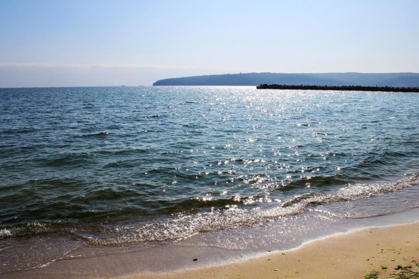 Nanorurki węglowe miały odsalać wodę,