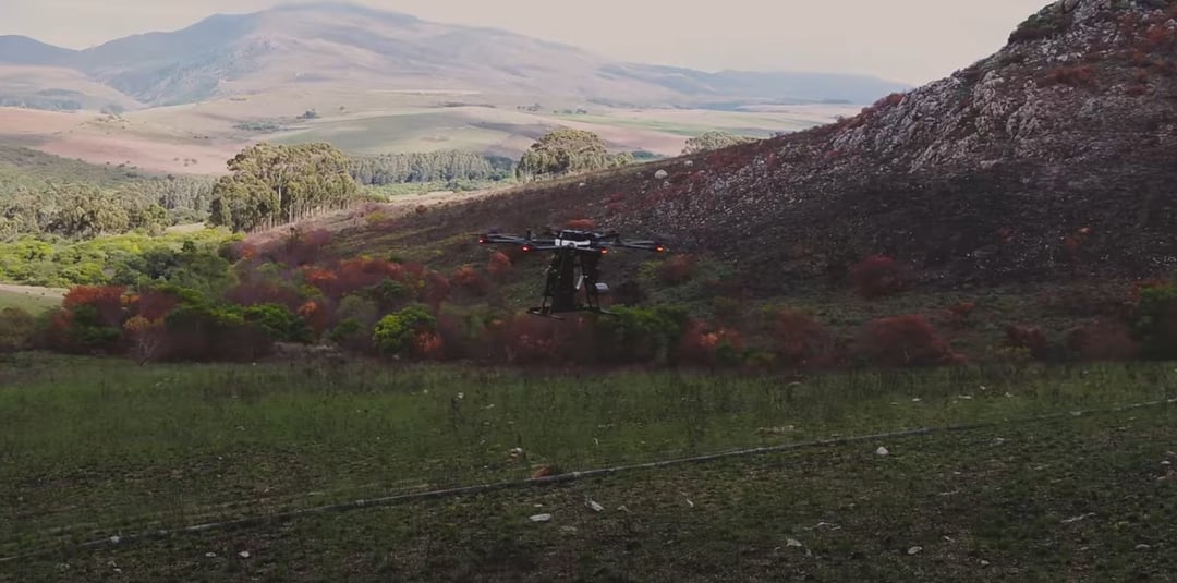 Powstały autonomiczne drony sadzące drzewa. Ich szybkość działania powala na kolana
