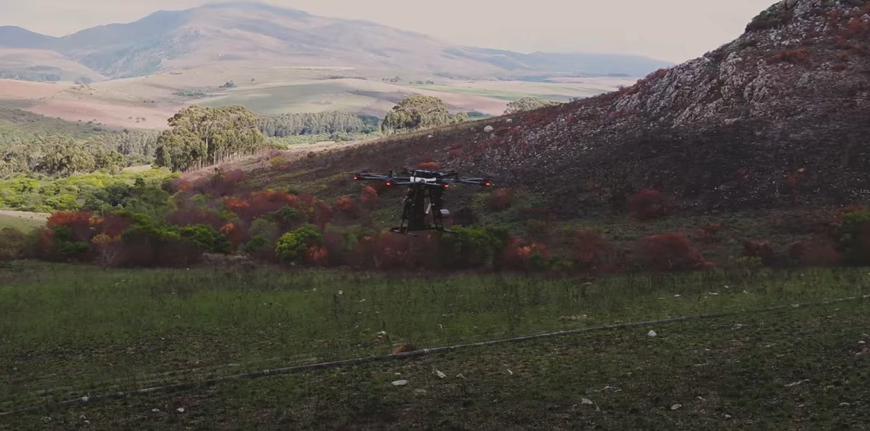 Powstały autonomiczne drony sadzące drzewa,
