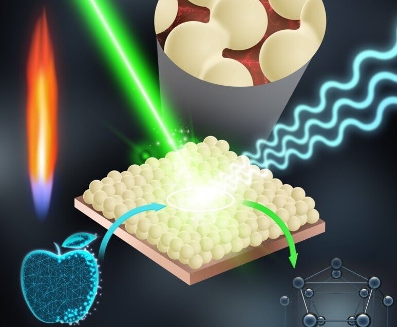 Opracowano nowy sposób detekcji pestycydów w owocach