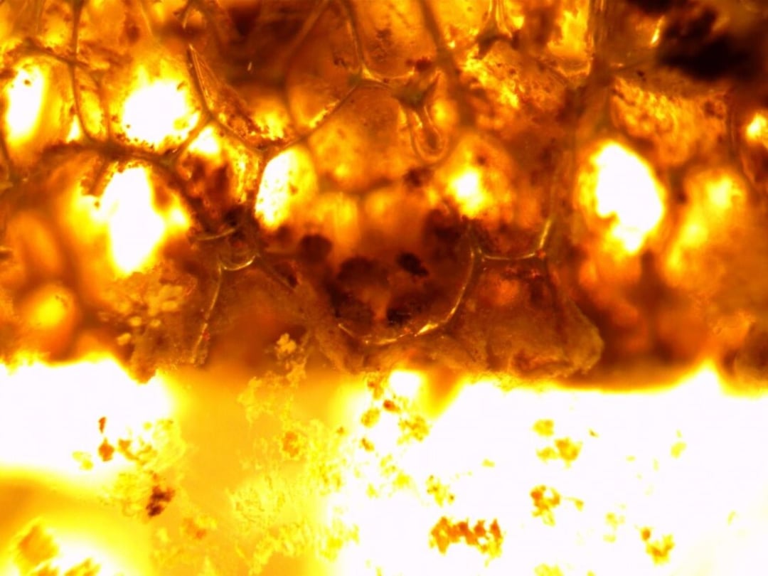 Jak zmniejszyć emisję azotu ze ścieków? Nowatorski system oczyszczania ścieków na to odpowiada