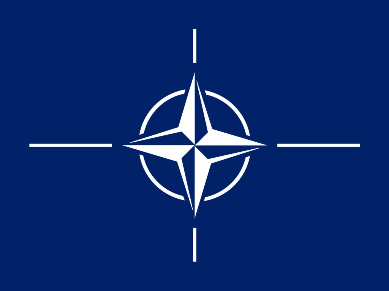 NATO w pigułce, NATO, artykuły NATO
