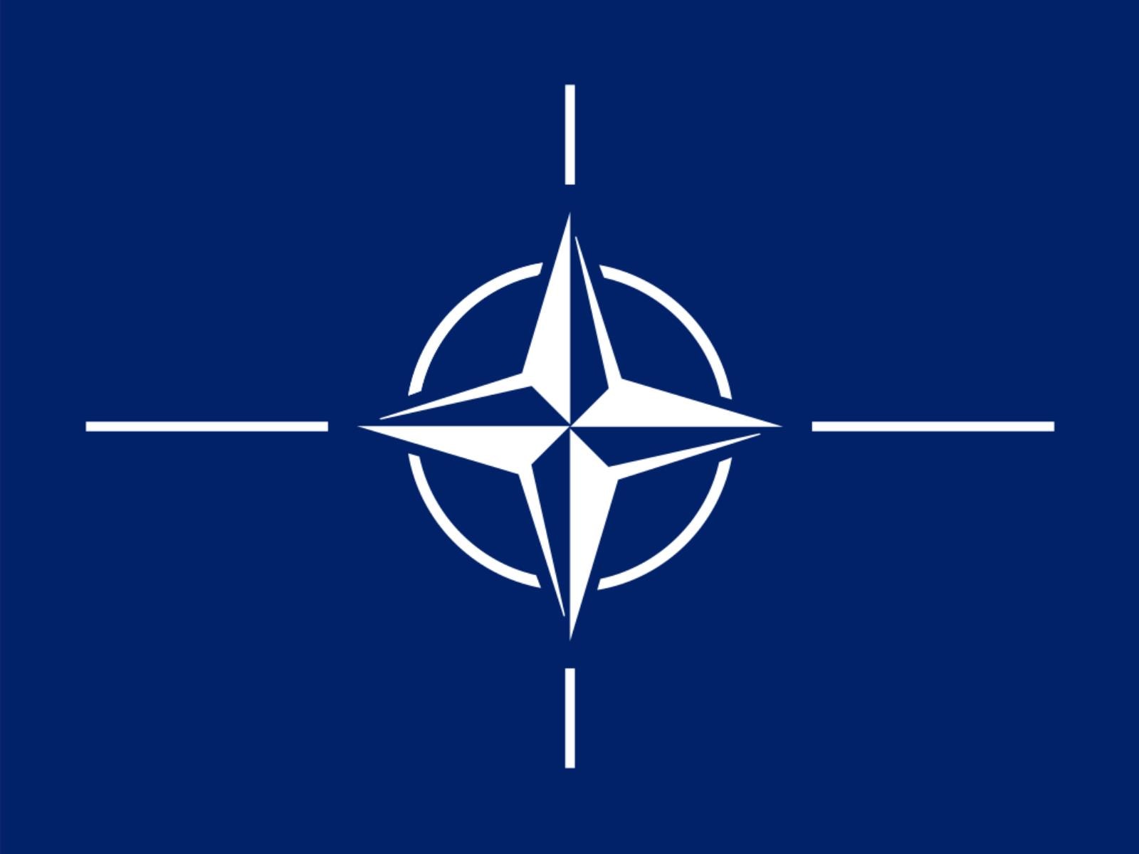 NATO w pigułce, NATO, artykuły NATO
