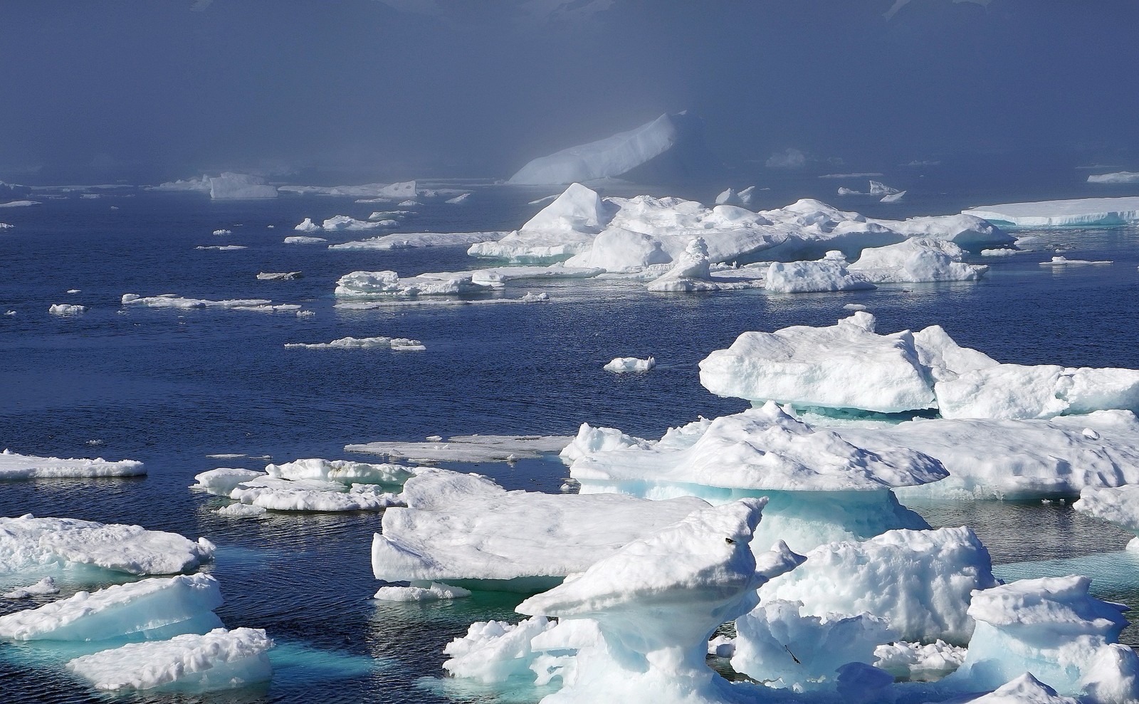 Regiony polarne są bardzo wrażliwe na zmiany klimatyczne
