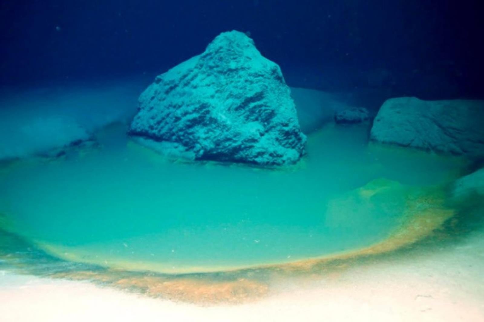 Niesamowite odkrycie na dnie Morza Czerwonego, proces zwalczania raka i pojęcie tajemnic życia pozaziemskiego