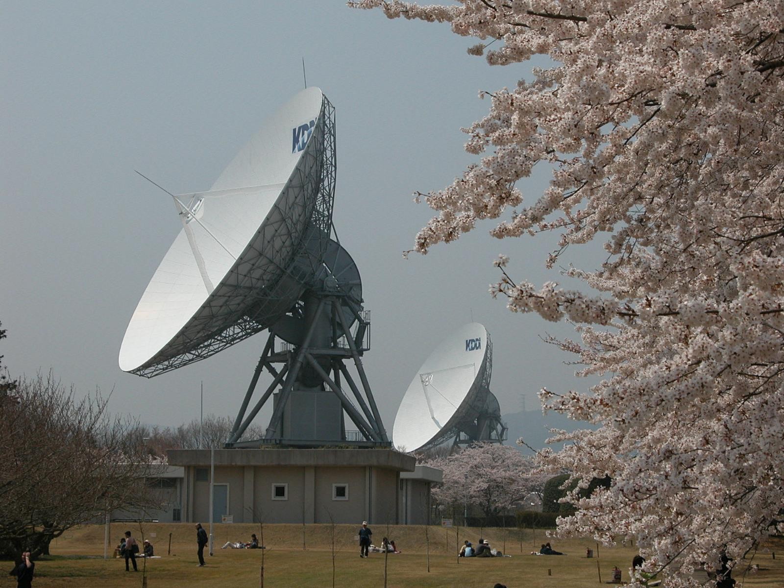 Telekomunikacyjna katastrofa w Japonii. 40 mln mieszkańców pozostało bez Internetu