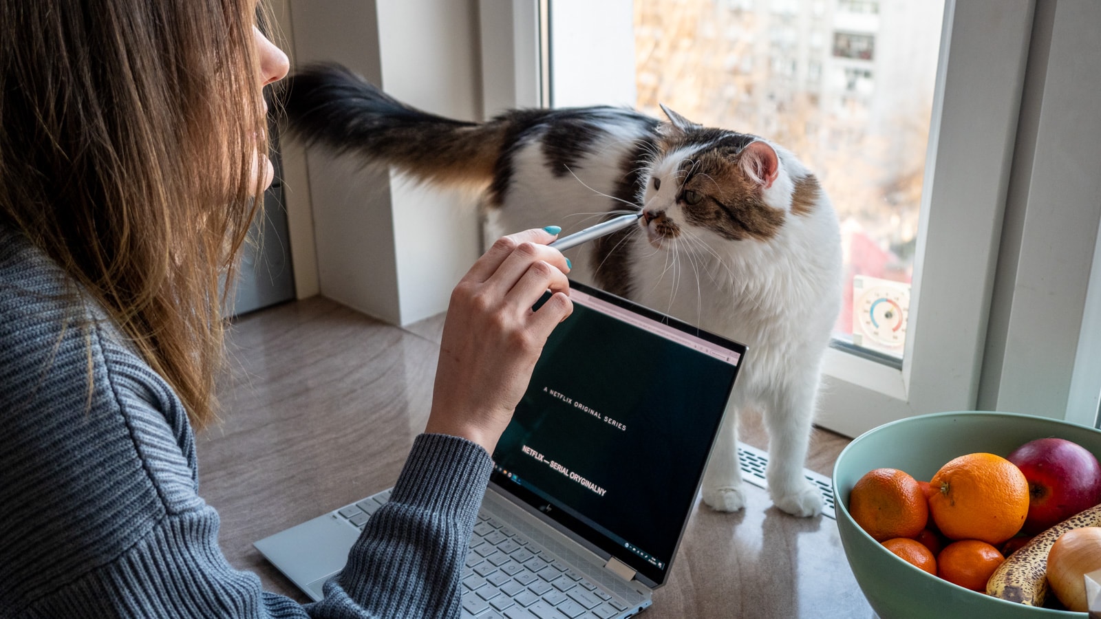 Cyfryzacja w Polsce leży. Jesteśmy prawie najgorsi w Unii Europejskiej