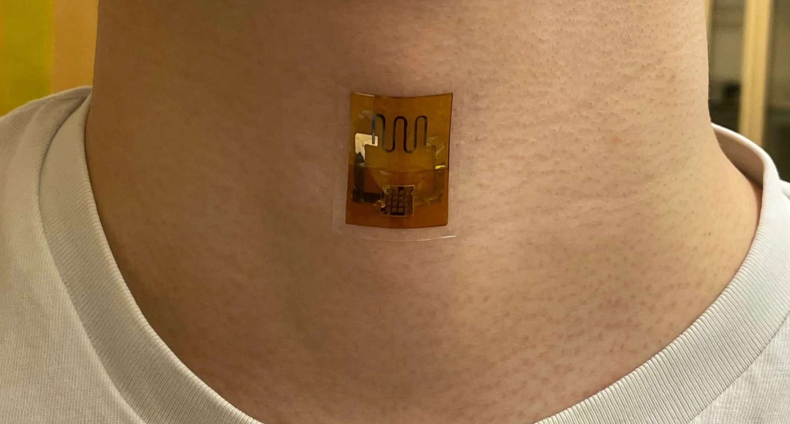 Martwe mikroby z potu,