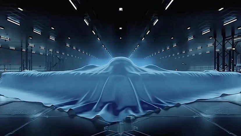 Trukwa zamiast zaawansowanych kompozytów w samolotach stealth. Ta roślina pochłania 99,99% fal radarowych