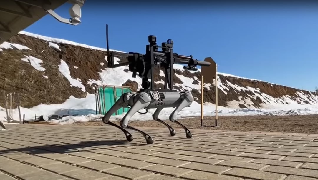 Masz uzbrojonego robota? No to zabulisz. Ten stan w USA nie chce realiów rodem z Terminatora