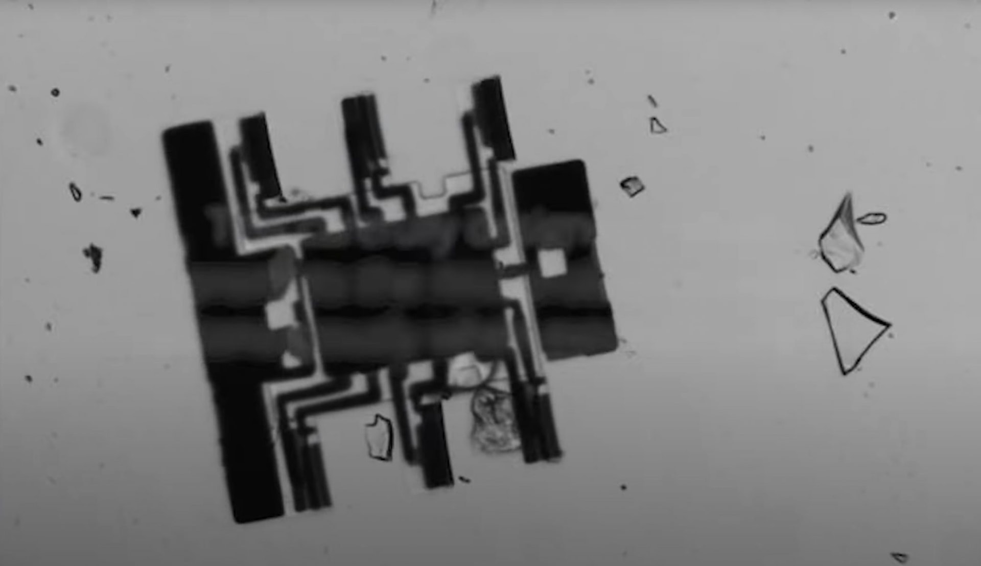 Niczym żyjąca rasa technologiczna, mikroboty mniejsze od głowy mrówki