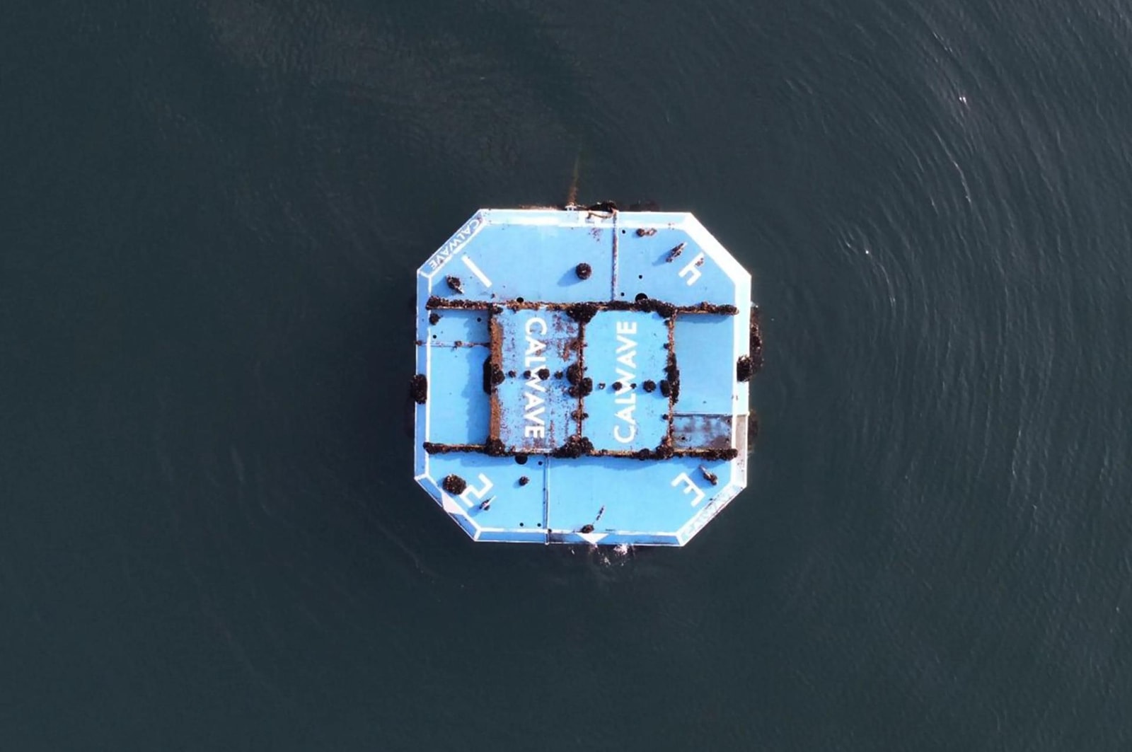 Przez dziesięć miesięcy generował prąd z fal. Czym jest xWave firmy CalWave?