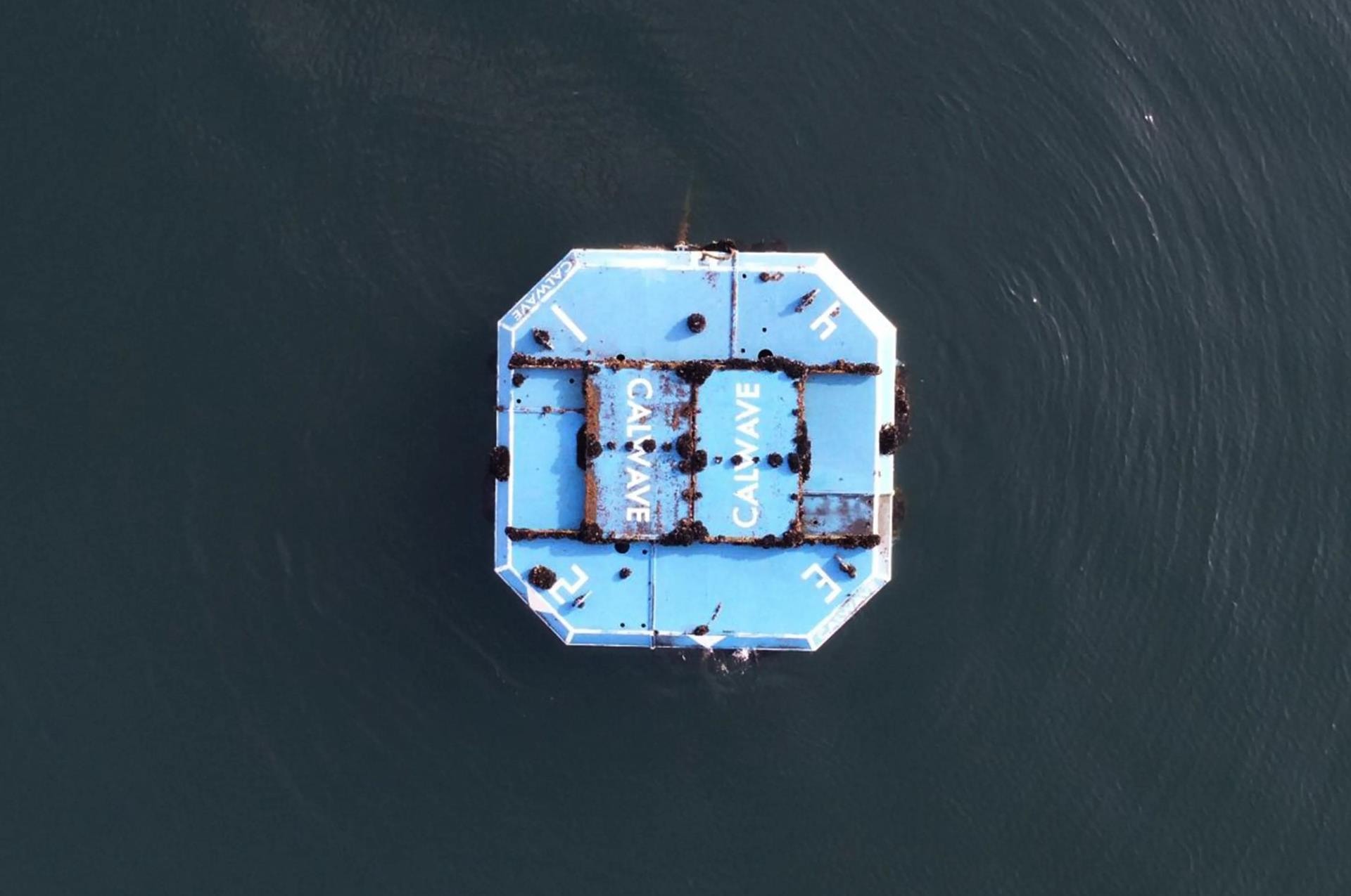 Przez dziesięć miesięcy generował prąd z fal. Czym jest xWave firmy CalWave?