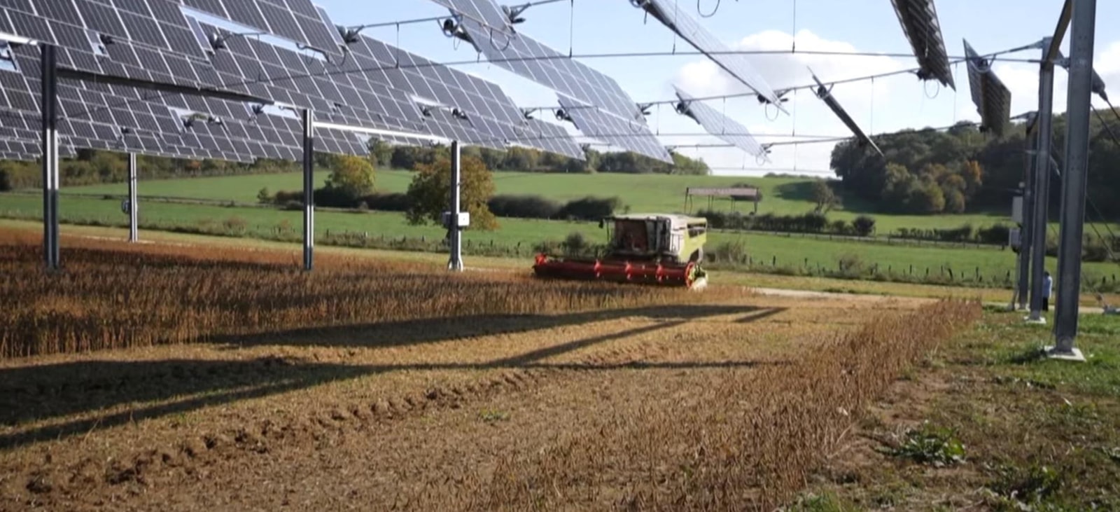 agrowoltaika, francuska farma