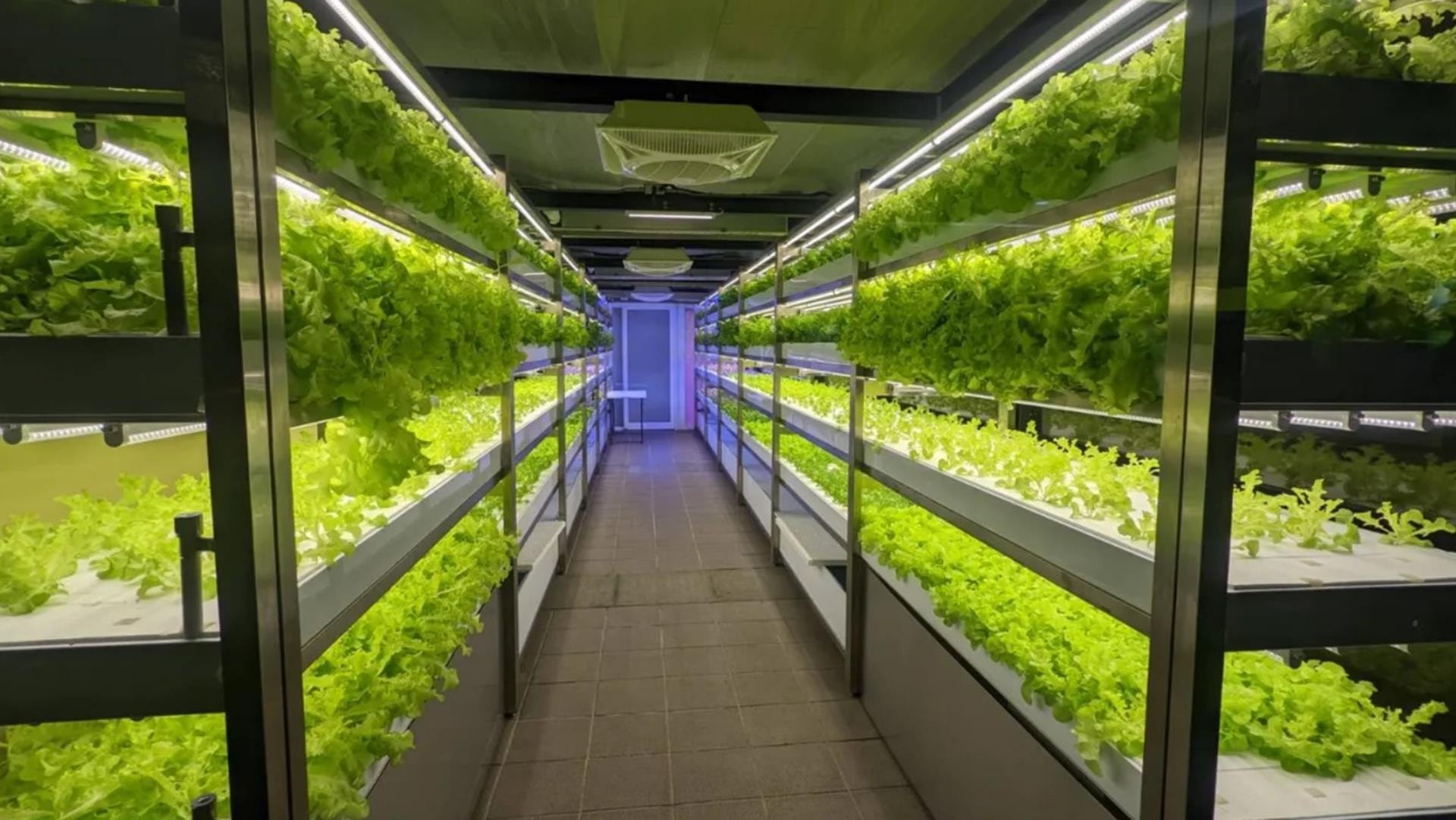 przyszłość rolnictwa,