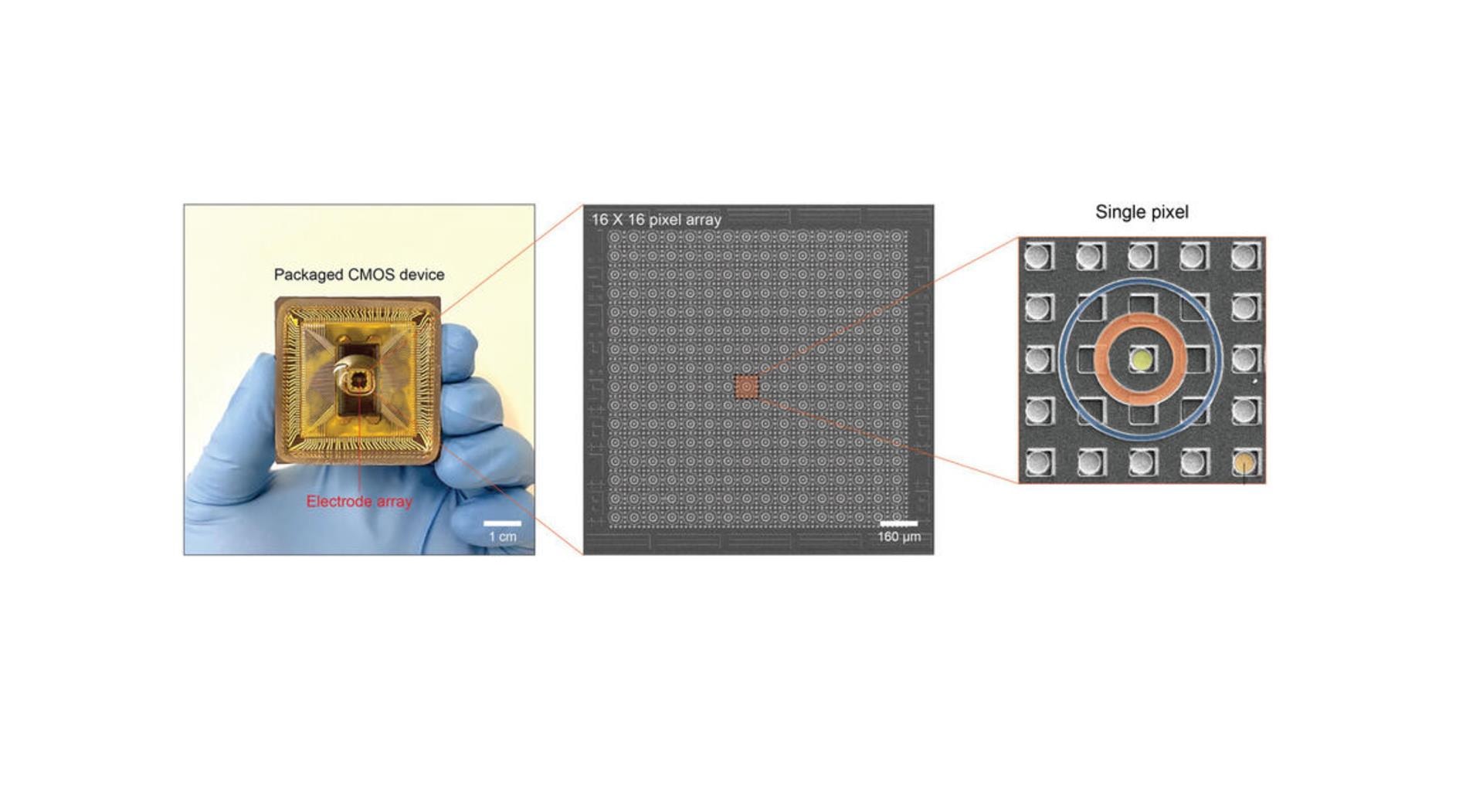 Procesory na bazie wody