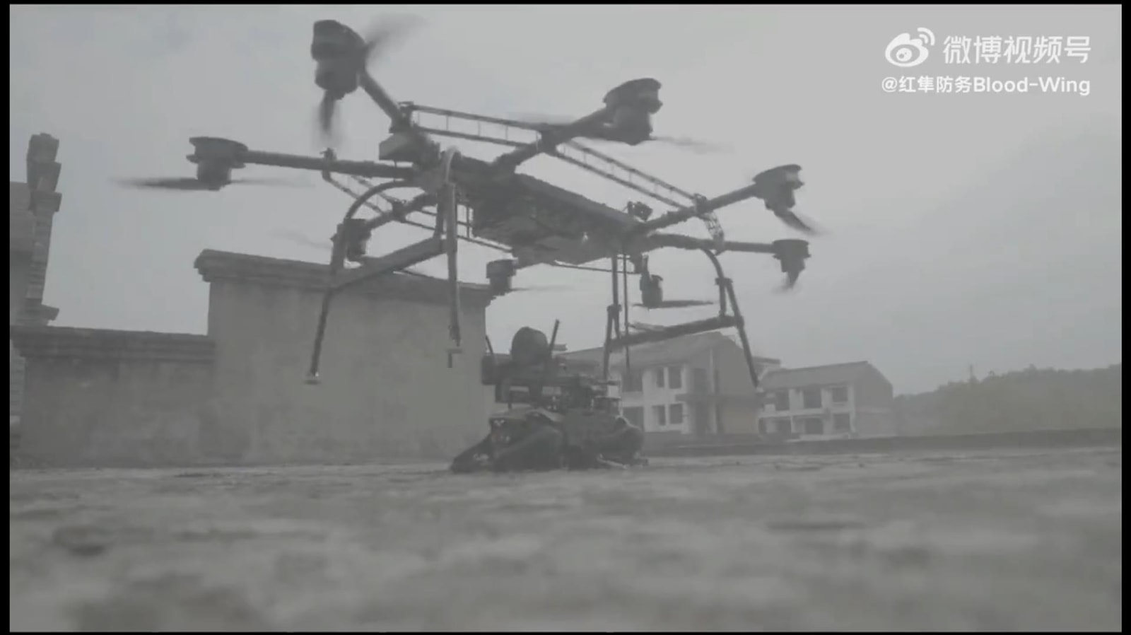 chińskie zrzuty zrobotyzowanych psów bojowych