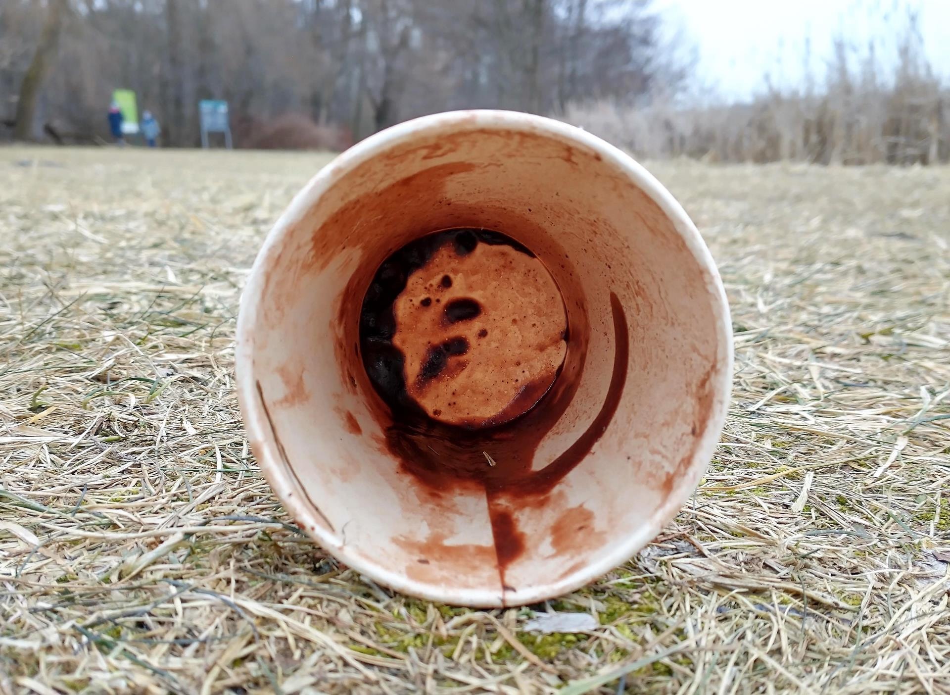 Mikroalgi rosnące na odpadach kawowych