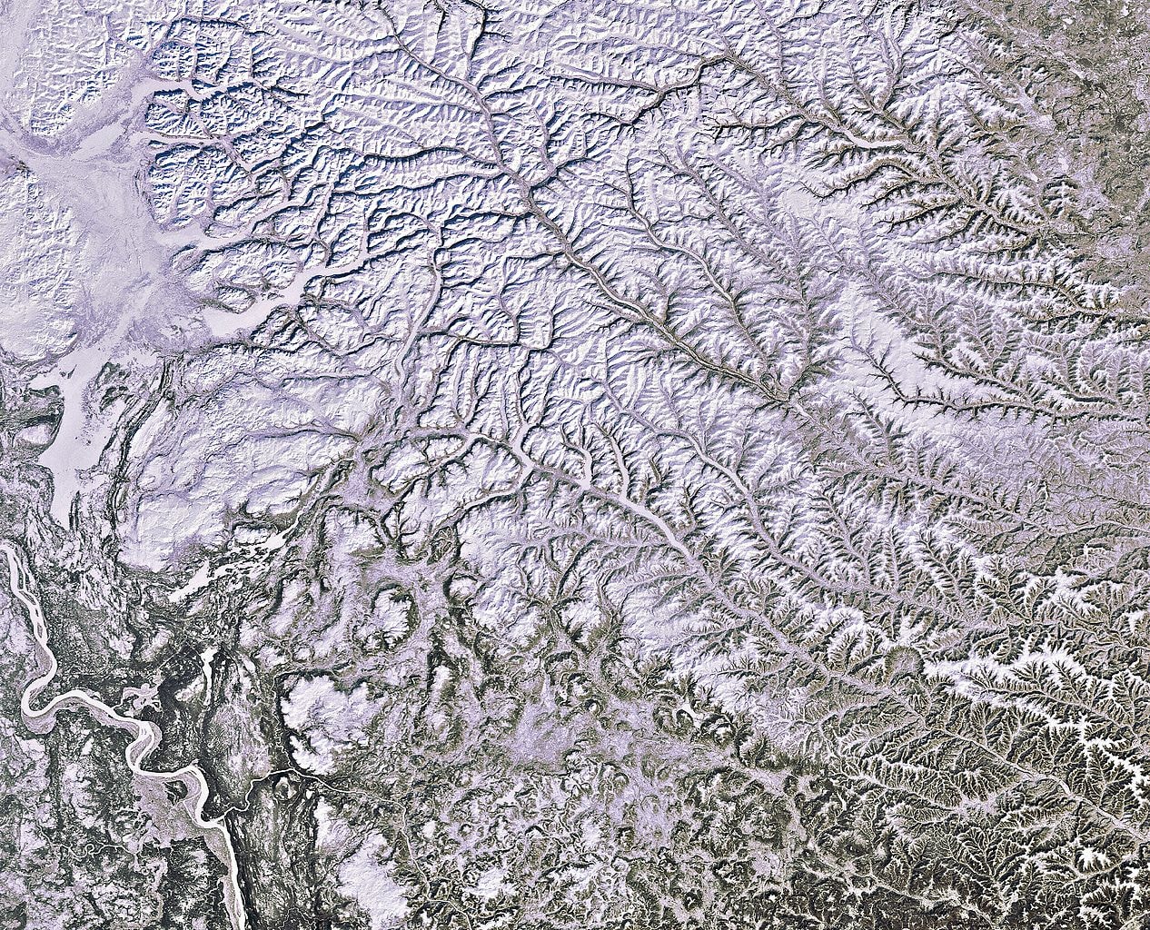 Te wirusy czekały na uwolnienie od tysięcy lat. Spokojnie, raczej nie grozi nam apokalipsa