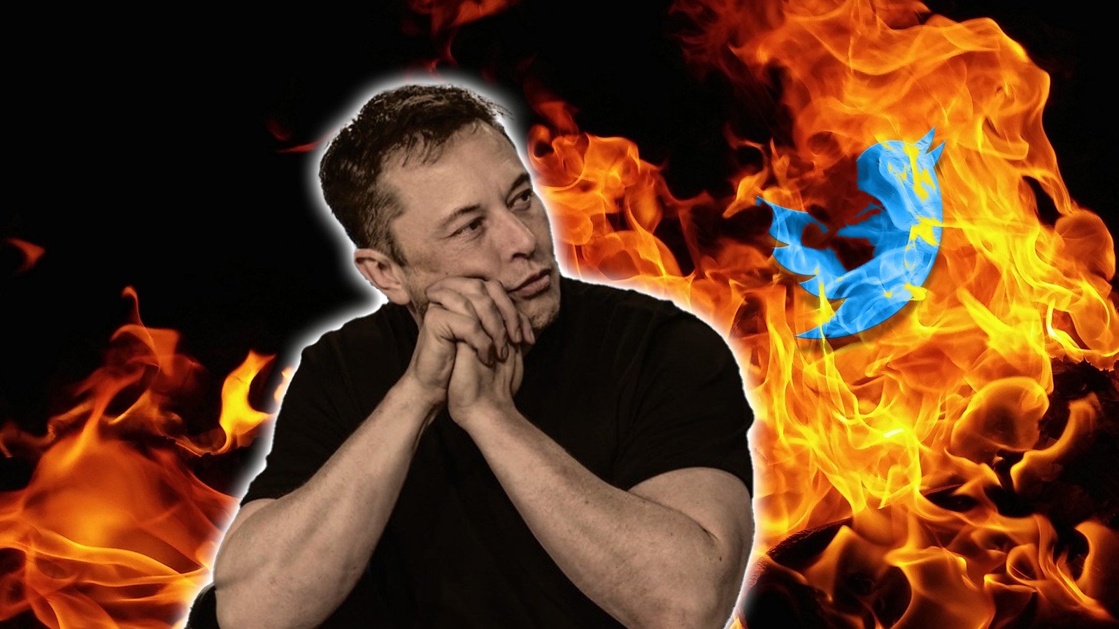 Bez obaw – Elon Musk wie, co robi. Twitter nie działa, a ja się zastanawiam, ile jesteśmy w stanie znieść dla wygody