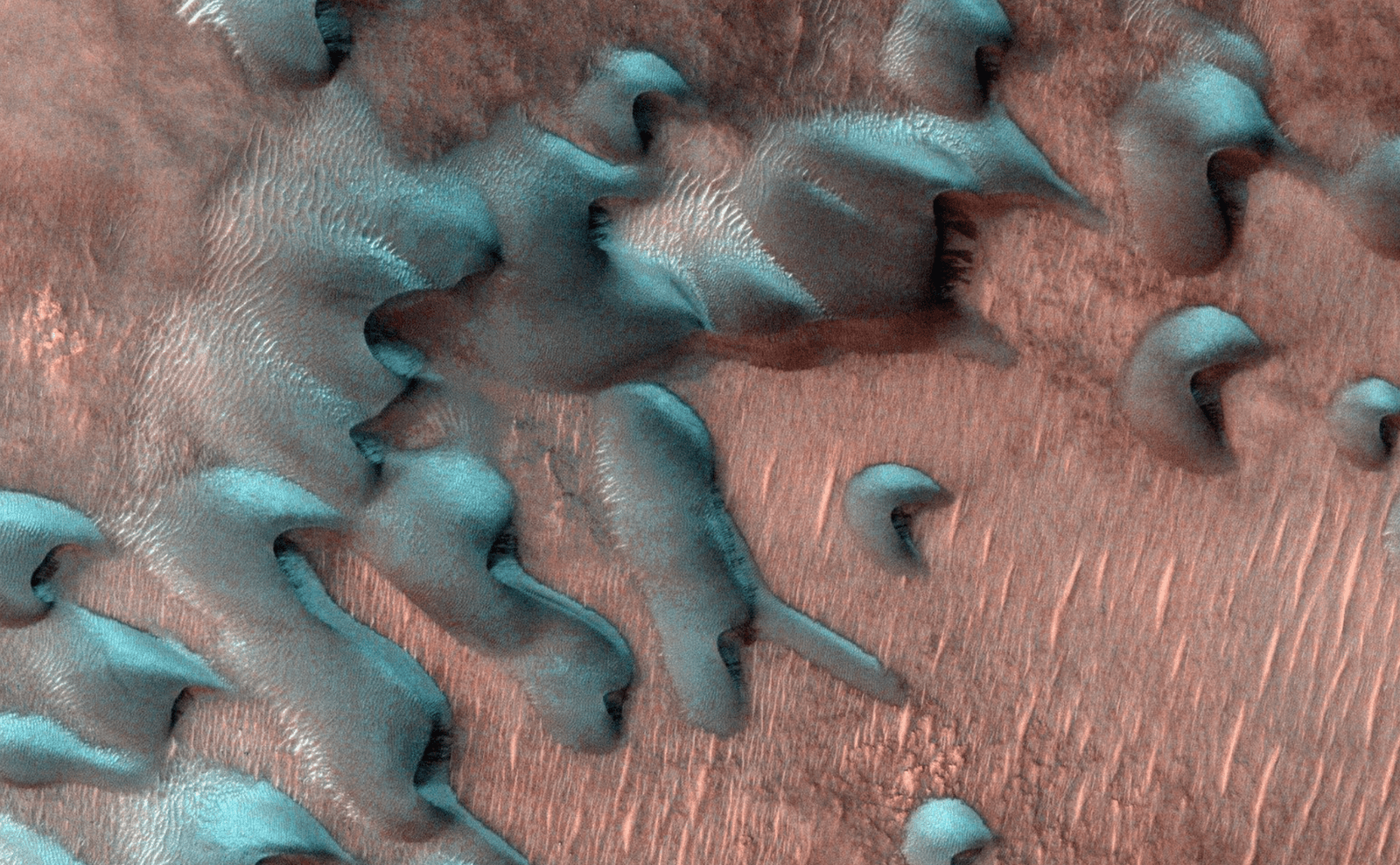 Tak wygląda zima na Marsie /Fot. NASA

