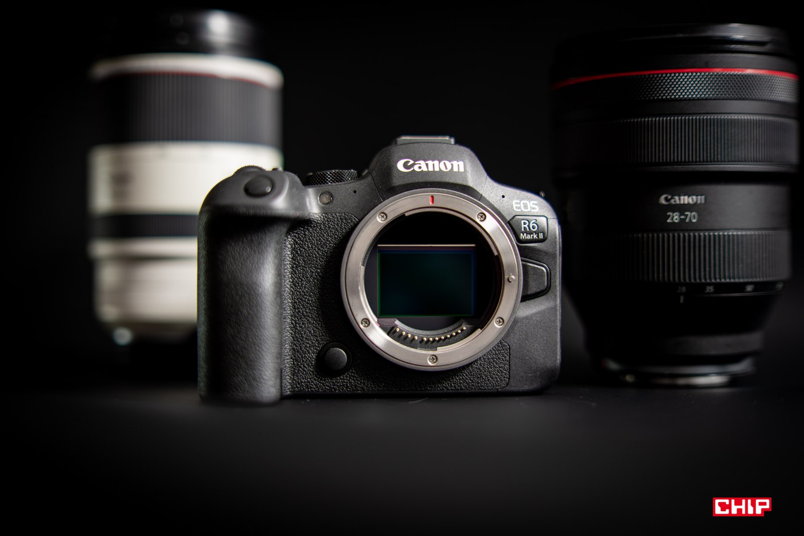 Fotograficzna recenzja Canon EOS R6 Mark II. Gdyby nie jeden szczegół, biłby rekordy sprzedaży