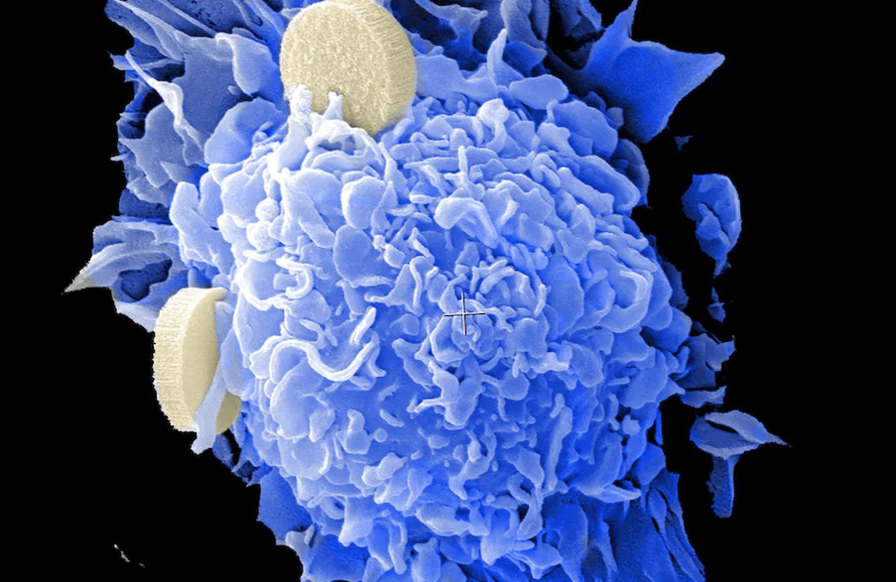 Nanomedycyna może zrewolucjonizować walkę z wieloma chorobami, ale jest z nią kilka problemów