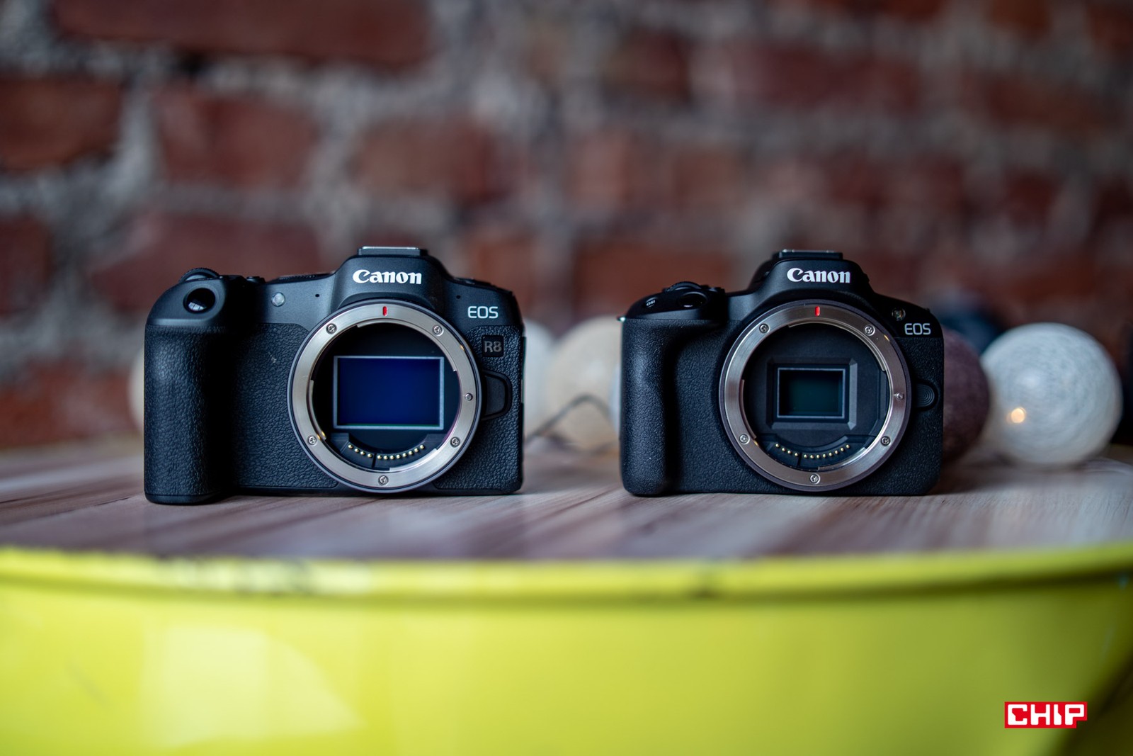 Canon EOS R8 i EOS R50 – pierwsze wrażenia i pierwsze zdjęcia. To bardzo rozsądna premiera