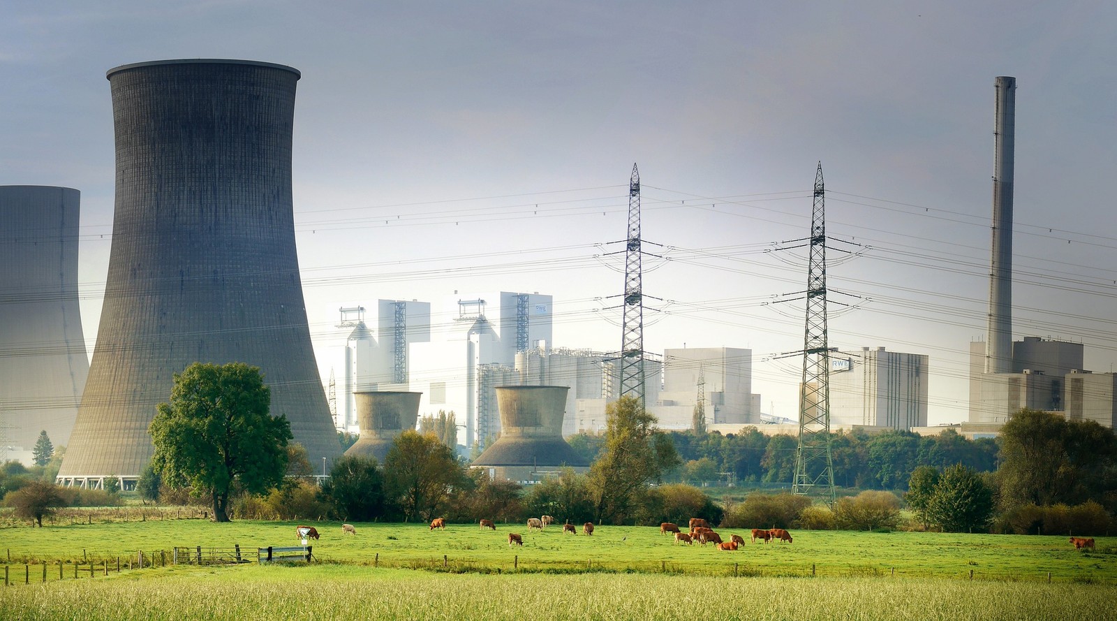 Odnawialne źródła energii czy elektrownie jądrowe? Naukowcy wskazali, które są bardziej opłacalne 