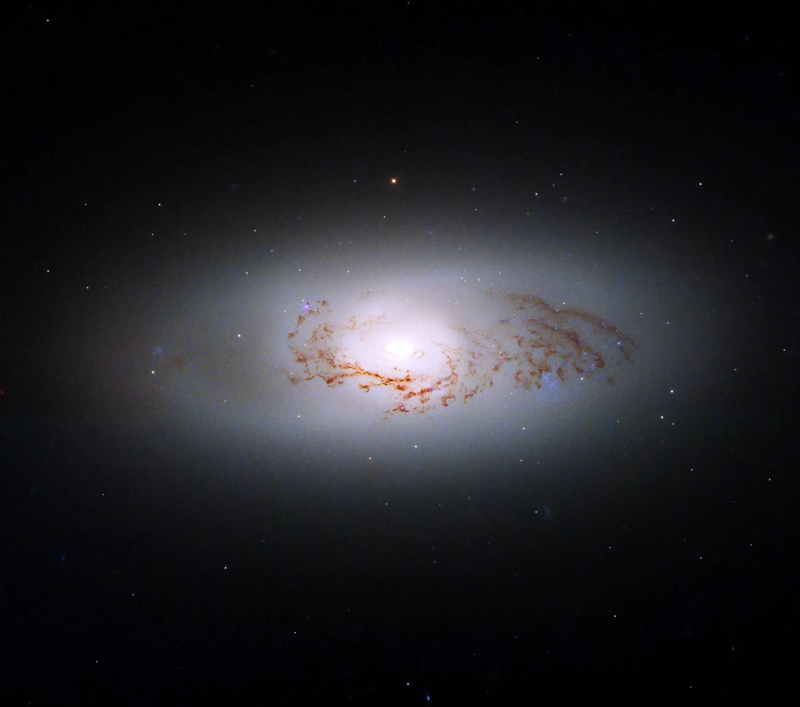 Galaktyczna hybryda wykazuje niepasujące do siebie cechy. Udało się ją sfotografować