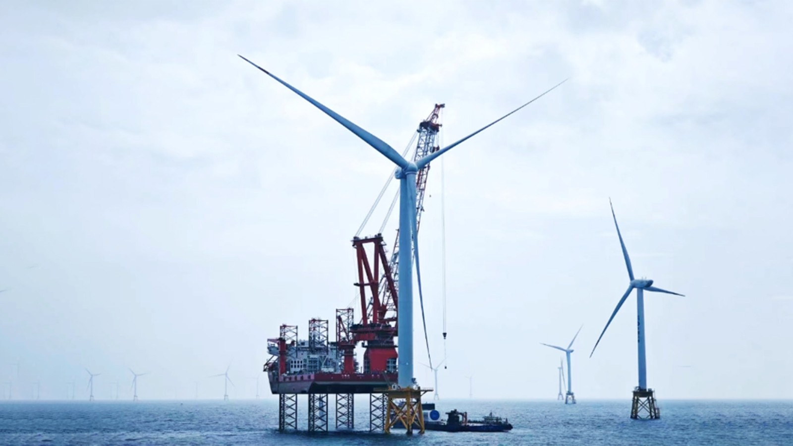 Chiny znowu to zrobiły! Ile prądu zapewnia największa na świecie turbina wiatrowa?