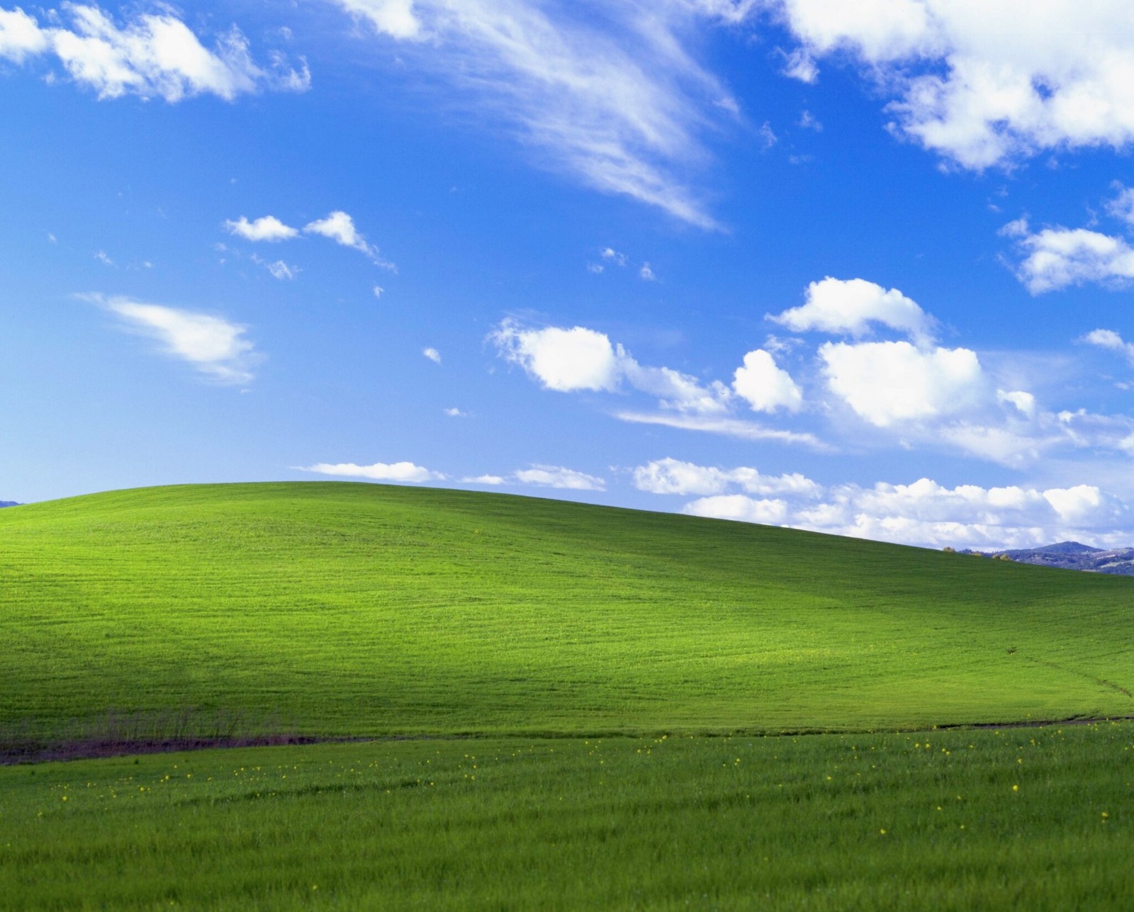 Microsoft przywraca kultową tapetę. Najpopularniejszy krajobraz na świecie znów może zdobić Twój pulpit
