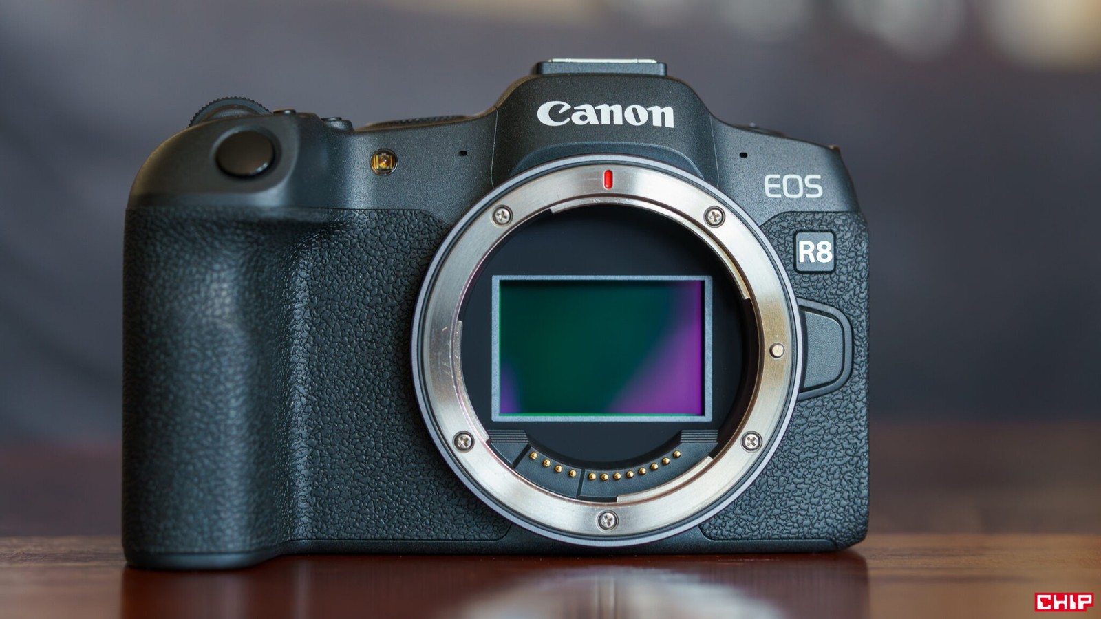 Test Canon EOS R8 – zwodniczo tania pełna klatka