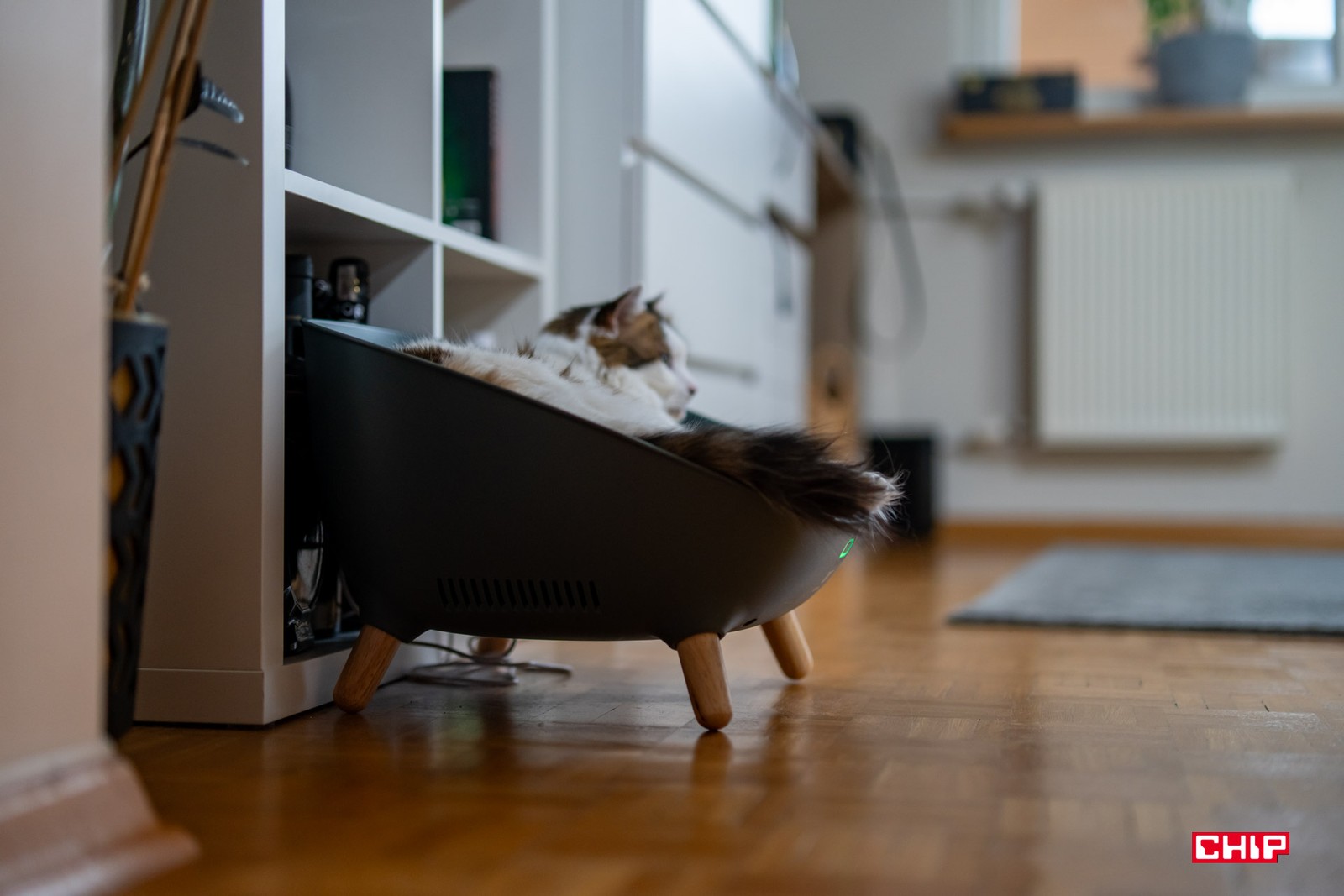 Test Tesla Smart Pet Sofa – Twój zwierzak może spać po królewsku