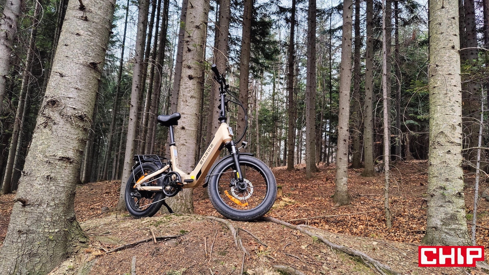 Rowerzysto, uważaj! Eksperci biją na alarm i chcą zmienić nasze rowery