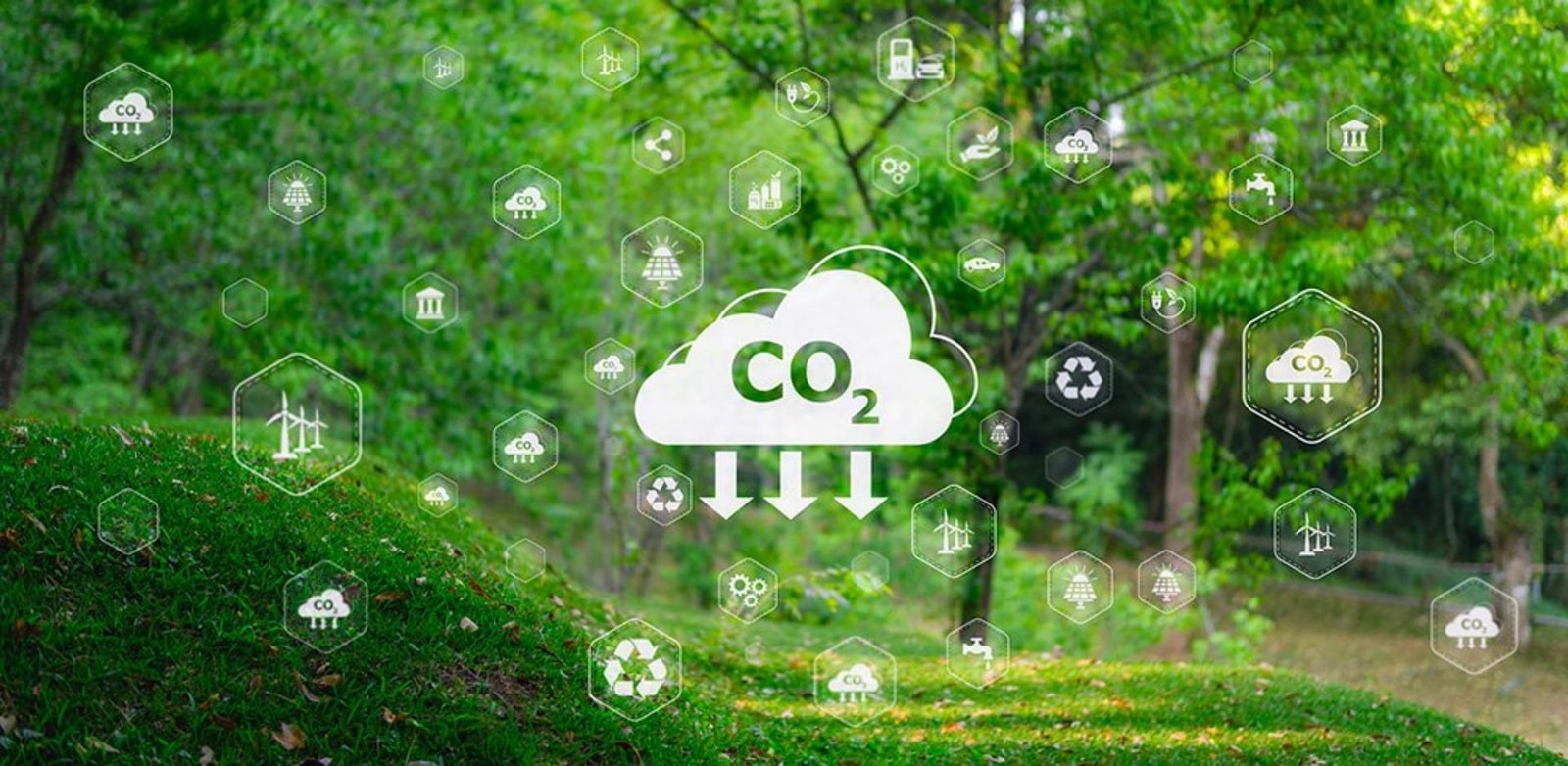 CREATOR: gd-jpeg v1.0 (using IJG JPEG v62), quality = 85