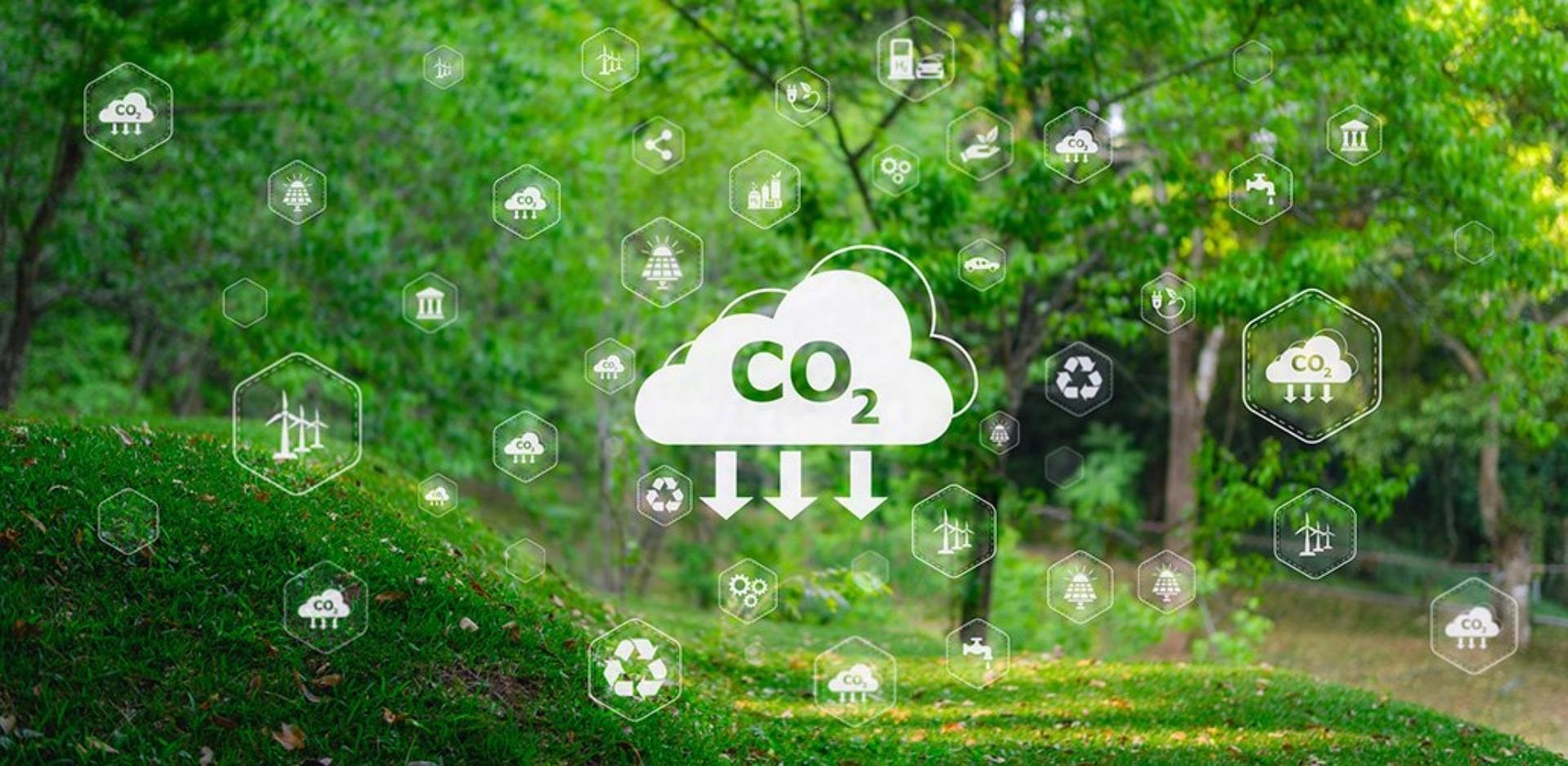 CREATOR: gd-jpeg v1.0 (using IJG JPEG v62), quality = 85