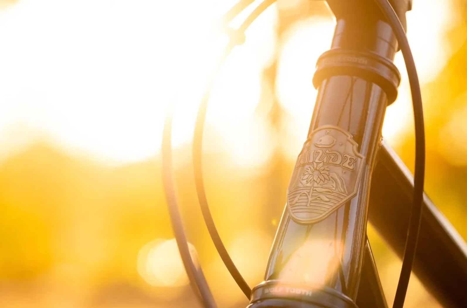 Pełen stali i potencjału. Tak zbudujesz rower dla największych twardzieli