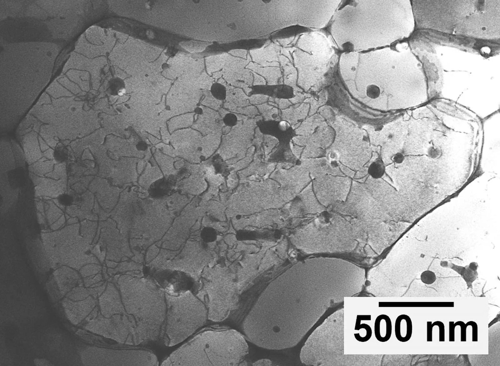 Laser, proszek i przełomowe odkrycie. Tak powstaje materiał nowej generacji