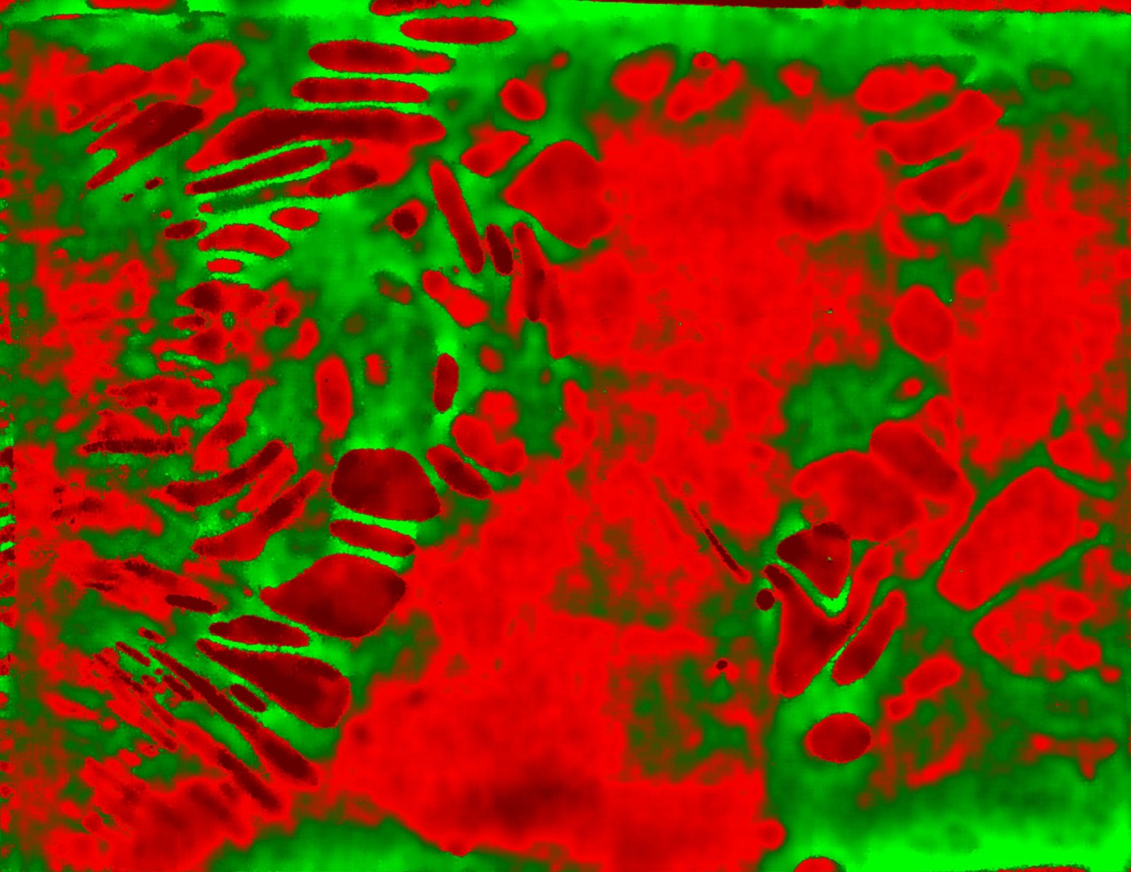 Nowa metoda badania baterii ujawniła zaskakujące zjawisko. Elektrolit zachowuje się jak żywy organizm