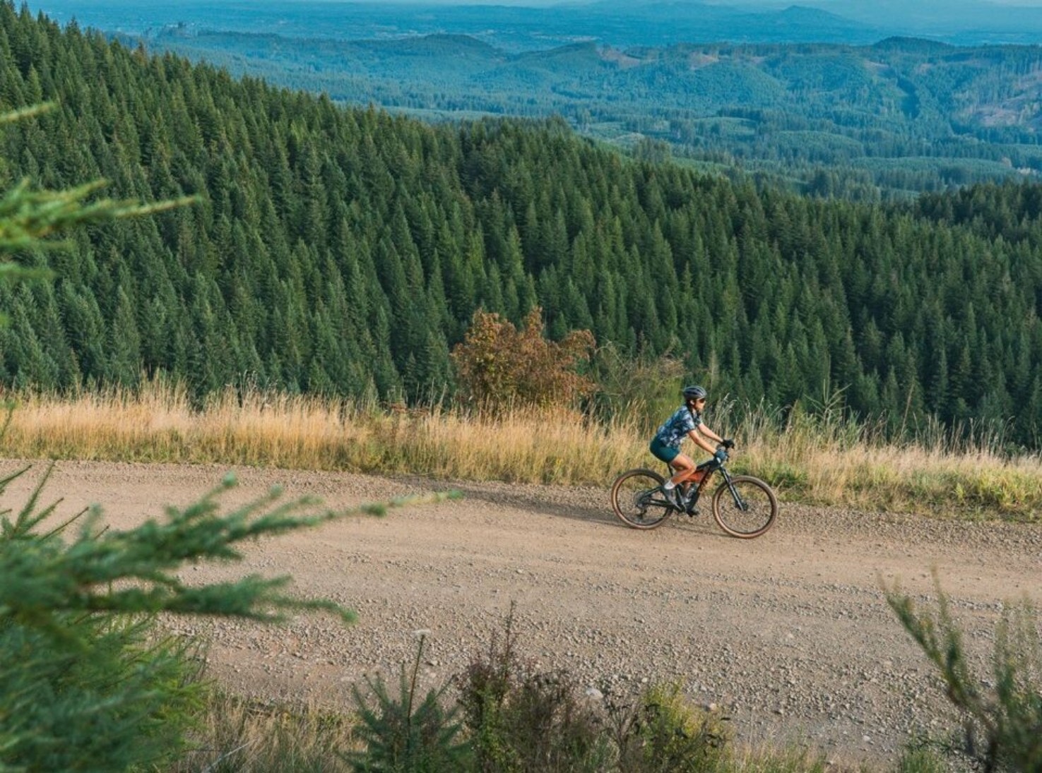 Pełne zawieszenie, baranek i silnik elektryczny. Ten rower łamie wszystkie zasady graveli