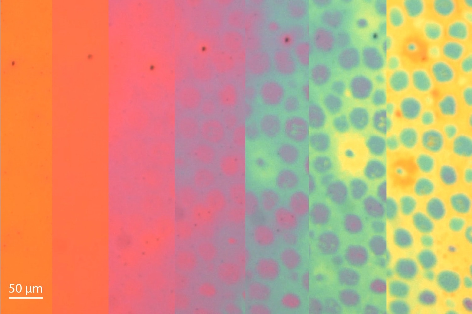 Futurystyczny materiał zachowuje się tak, jakby nie stworzył go człowiek. Może zmieniać kolor i teksturę