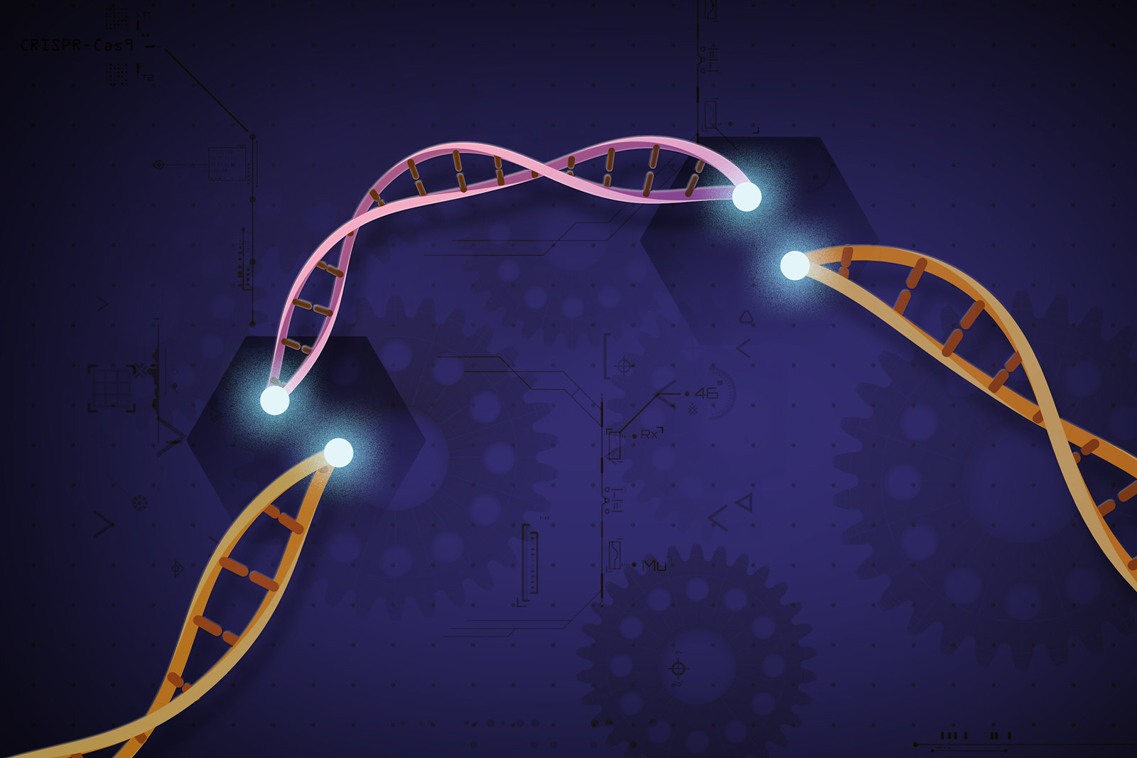 Autonomiczne odkrycie w genomie gigantycznych fagów. Sztuczna inteligencja identyfikuje układ enzymatyczny przypominający CRISPR